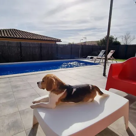 Modernes Einfamilienhaus Mit Pool By Interhome Casa vacanze *
